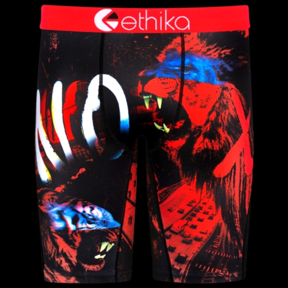 ETHIKA RBG BOXER BRIEFS
